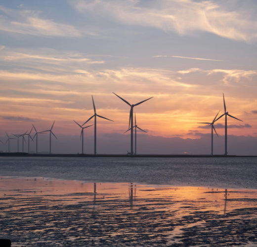 Sustainable Meal Delivery: How It Can Help You Eat More Sustainably in Day-to-Day Life