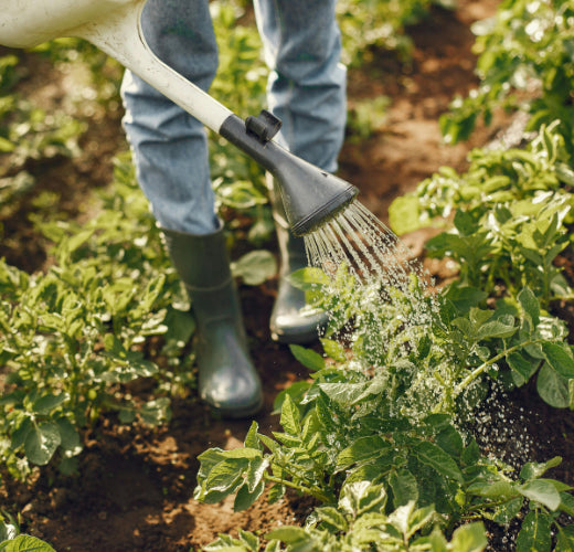 Sustainable Meal Delivery: How It Can Help You Eat More Sustainably in Day-to-Day Life