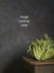 Hi, I'm David! - FoodSt