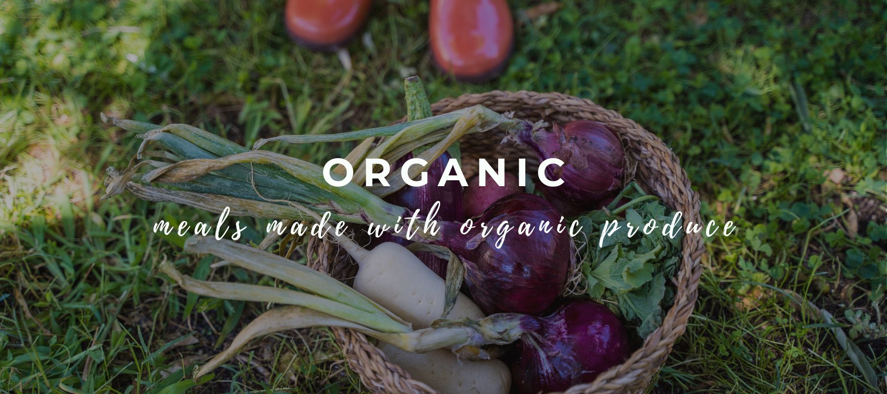 Organic - FoodSt