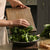 Apron greens.jpg