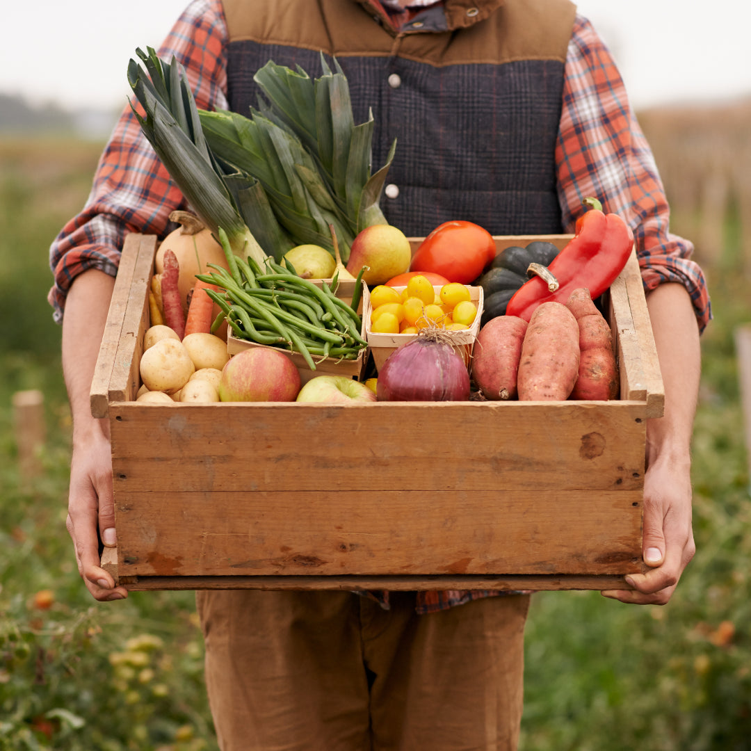 Person holding a wooden crate filled with fresh vegetables in a field