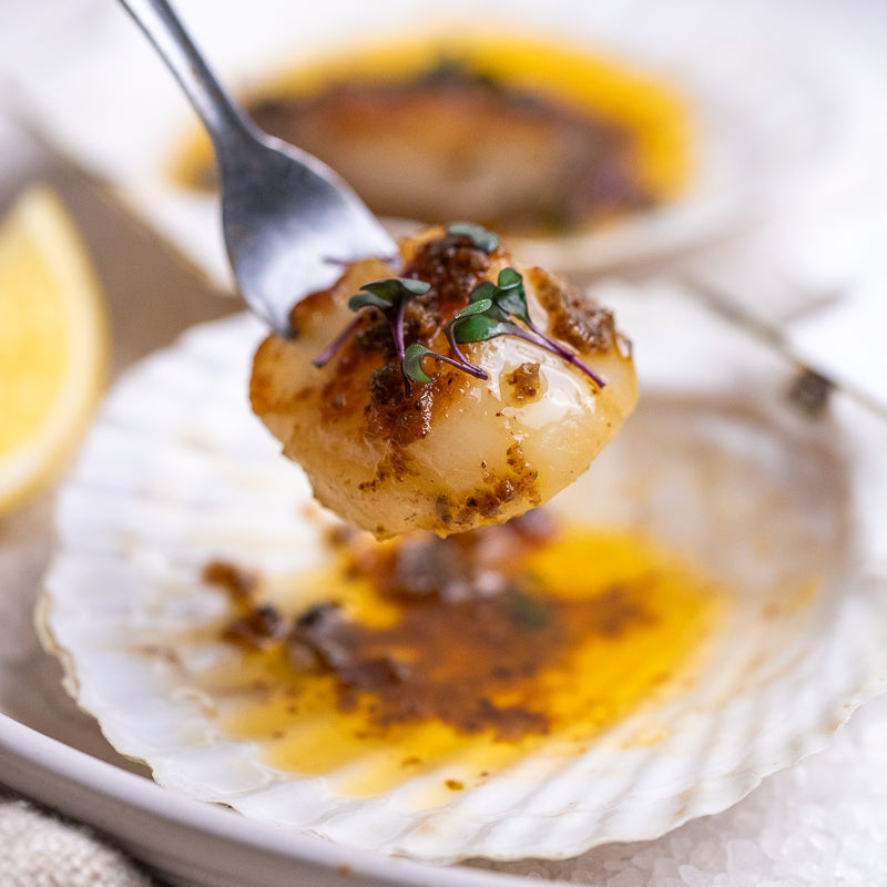 A close-up of a scallop cooked in a scallop shell with a fork lifting the top, garnished with herbs and sauce, on a white plate with a lemon wedge and another cooked scallop in the background.